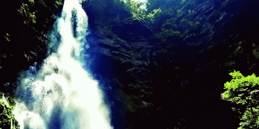 23062513545916396.gif