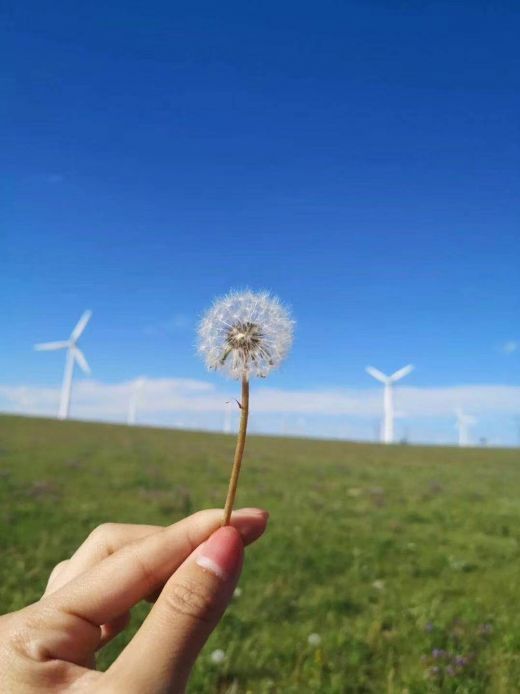 24040814061023784.jpg