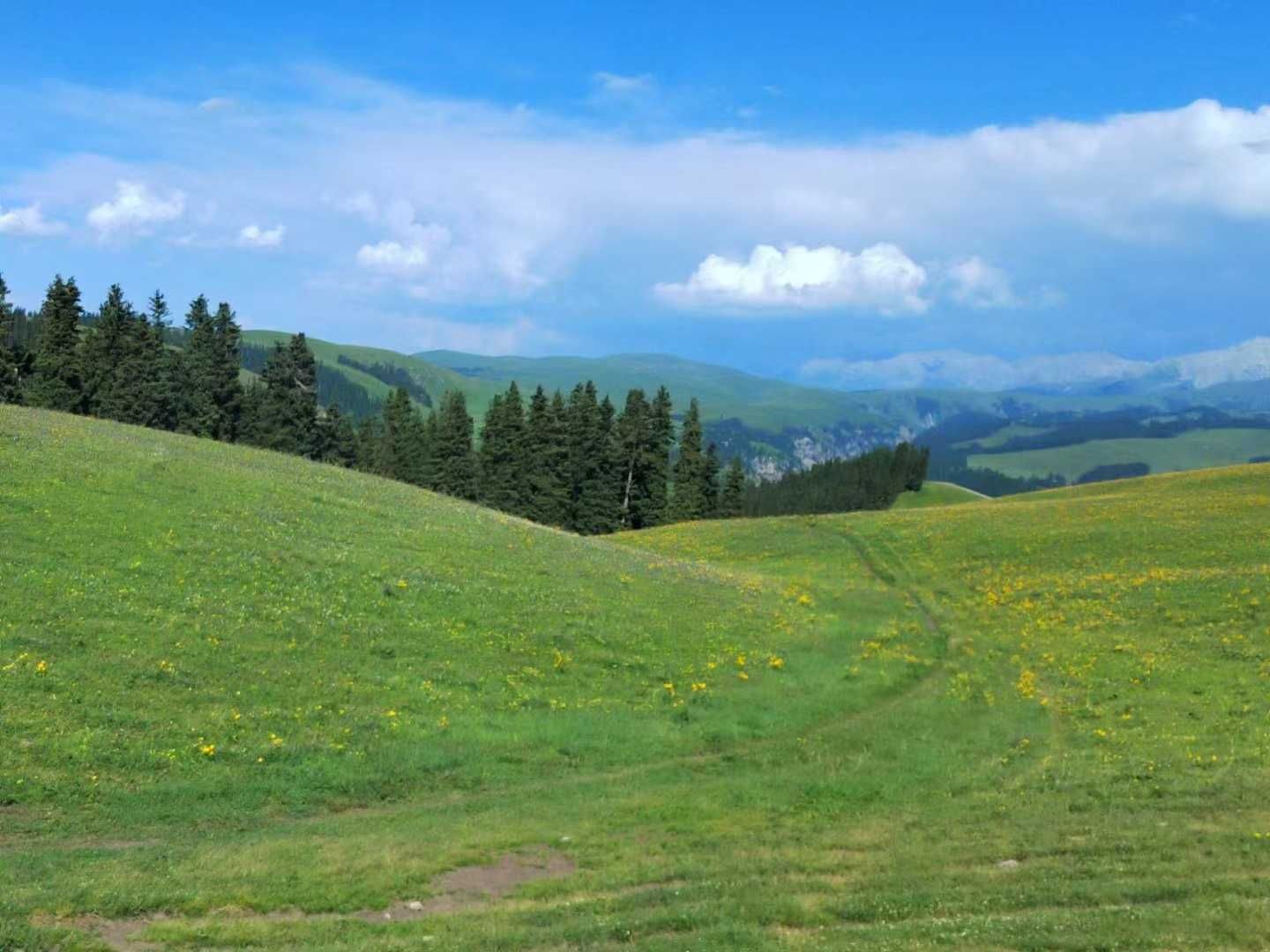 24040814123538858.jpg